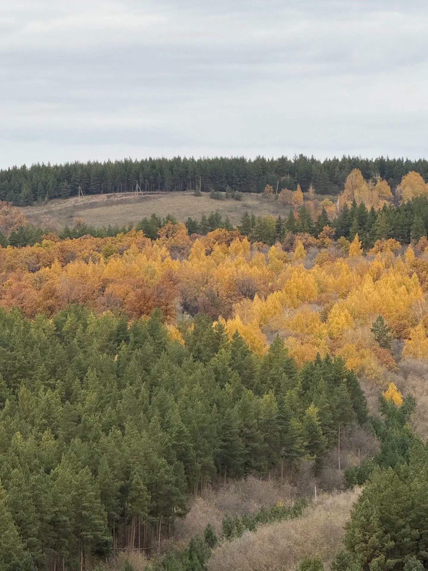 Шәхси фотоархивтан Фото