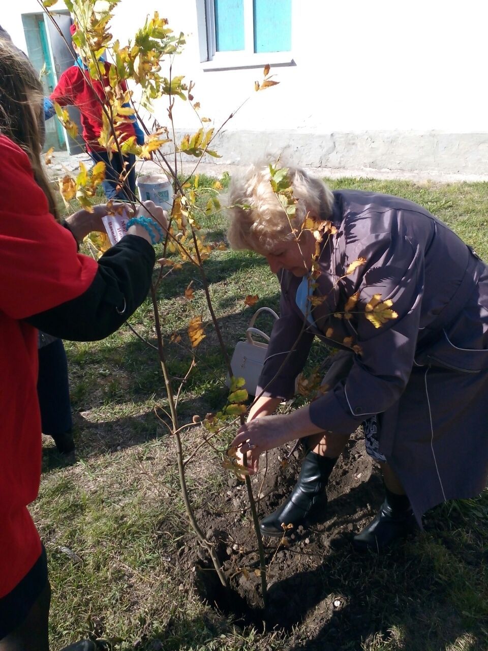 Ученики Уруссинской школы заложили Аллею ветеранов