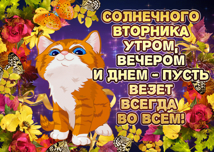 http://yutazy.ru/images/uploads/news/2019/2/19/81b826598f9f86d65747717165c857ba.gif