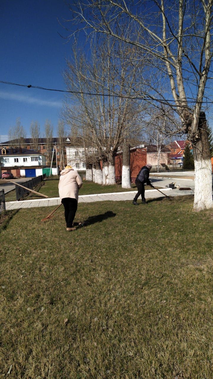 В чистом жить - здоровым быть