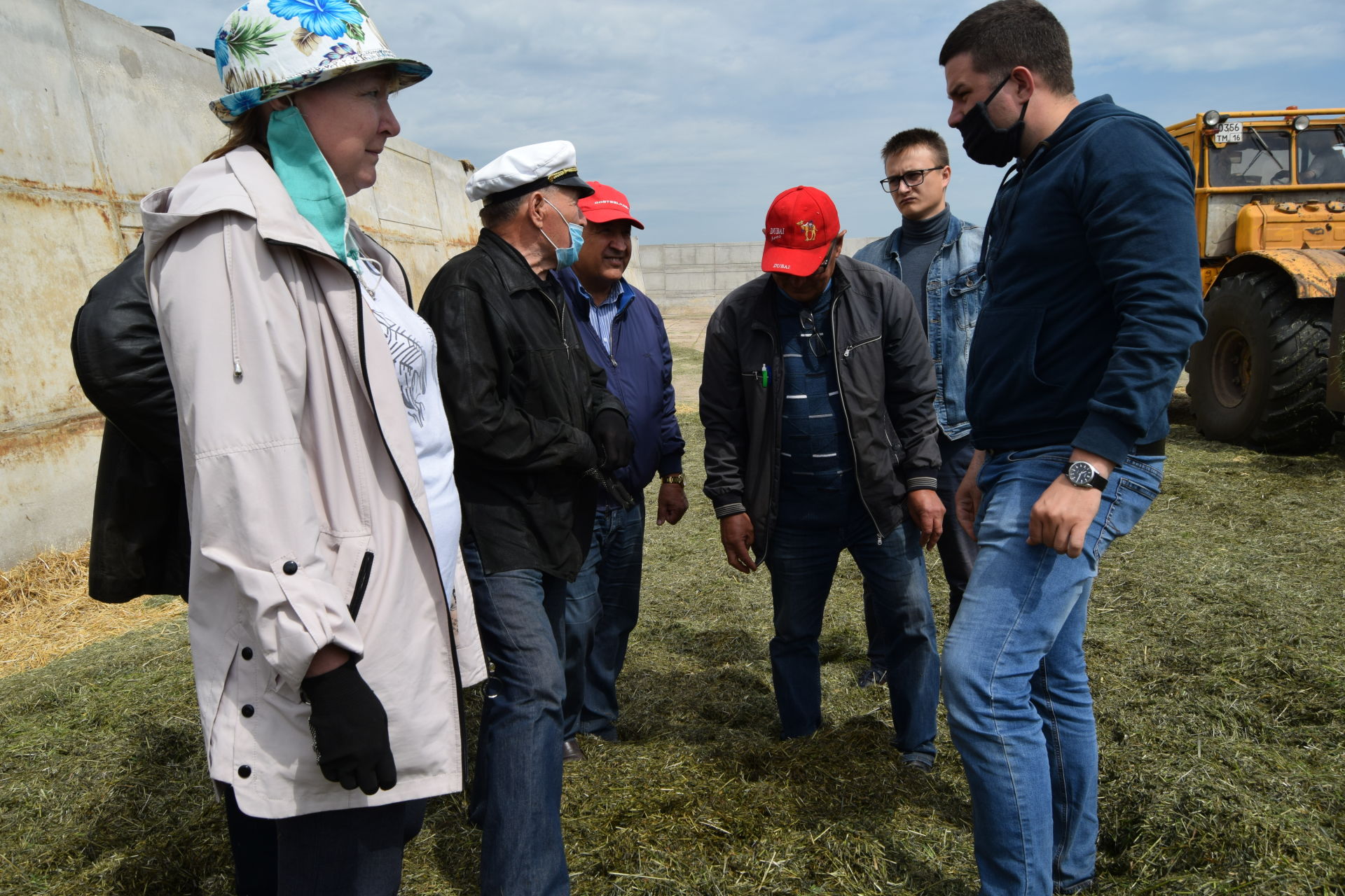 В ООО «АгроМир» кукурузное поле напоминает военный парад