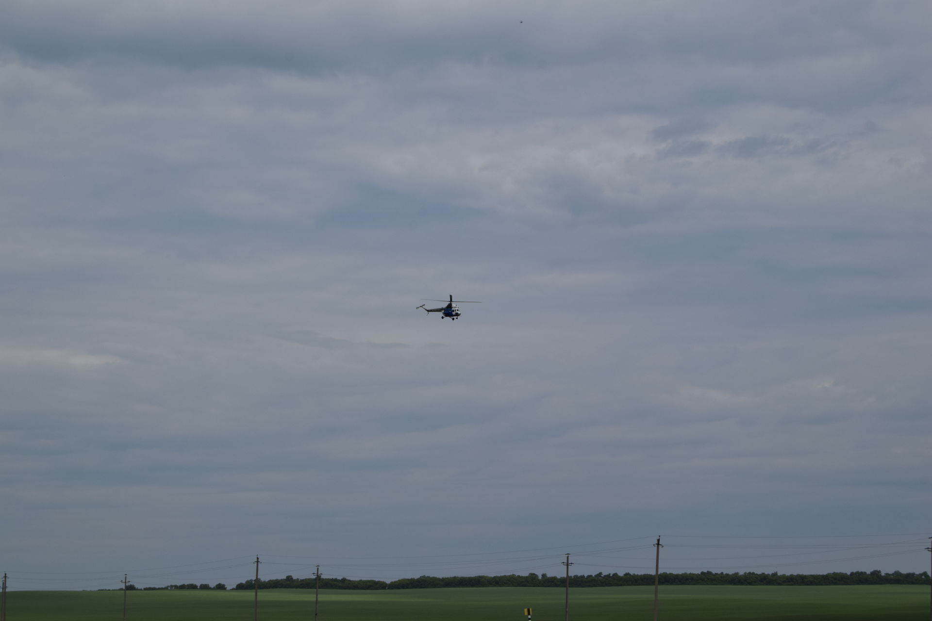 В ООО «АгроМир» кукурузное поле напоминает военный парад