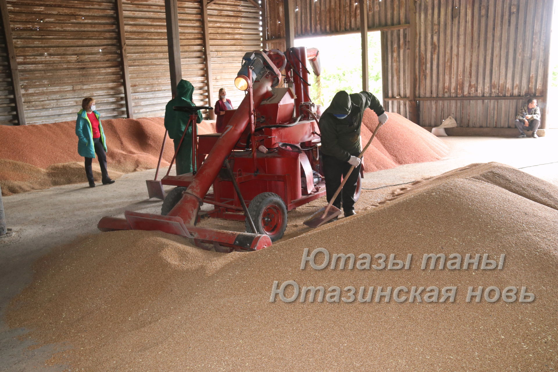 В хозяйстве фермера Рамиля Гараева соблюдаются агротехнические требования