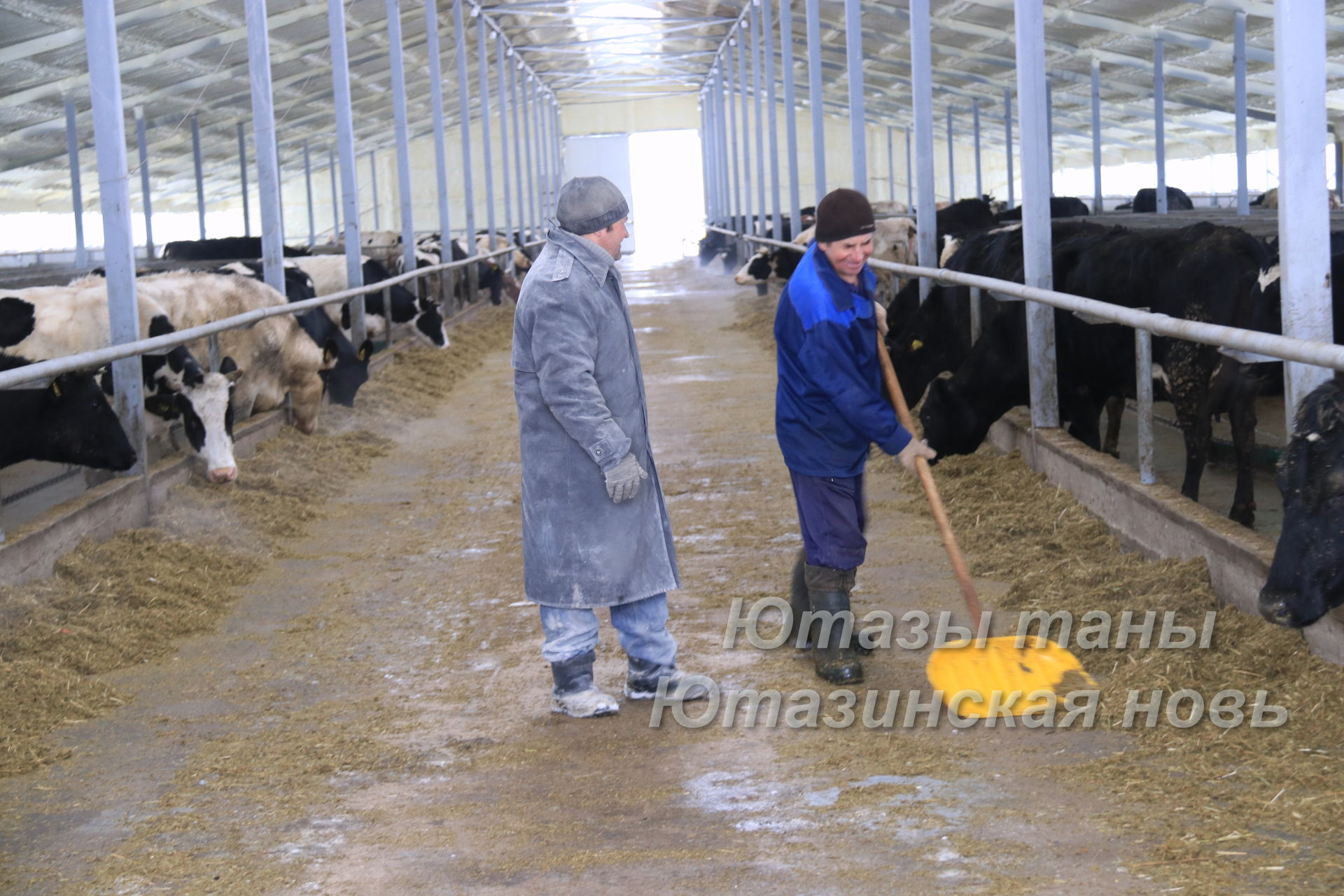 Ютазинские сельхозпроизводители подвели итоги животноводства за февраль 2021 года&nbsp;