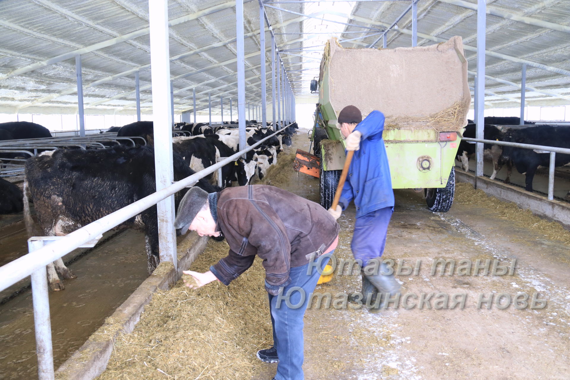 Ютазинские сельхозпроизводители подвели итоги животноводства за февраль 2021 года&nbsp;