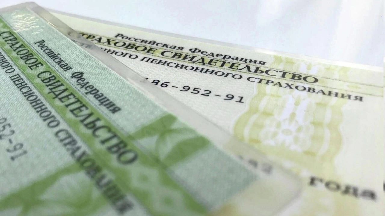 В Социальном фонде России сообщили, что гражданам не требуется заменять старые СНИЛС на обновлённые версии
