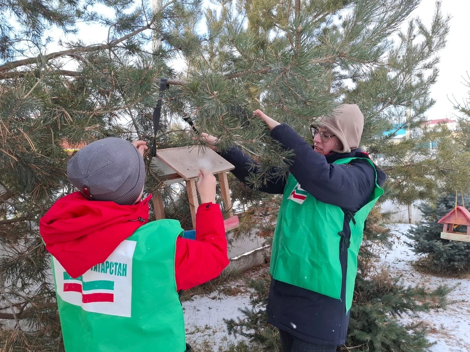 Зима — суровое время в жизни птиц