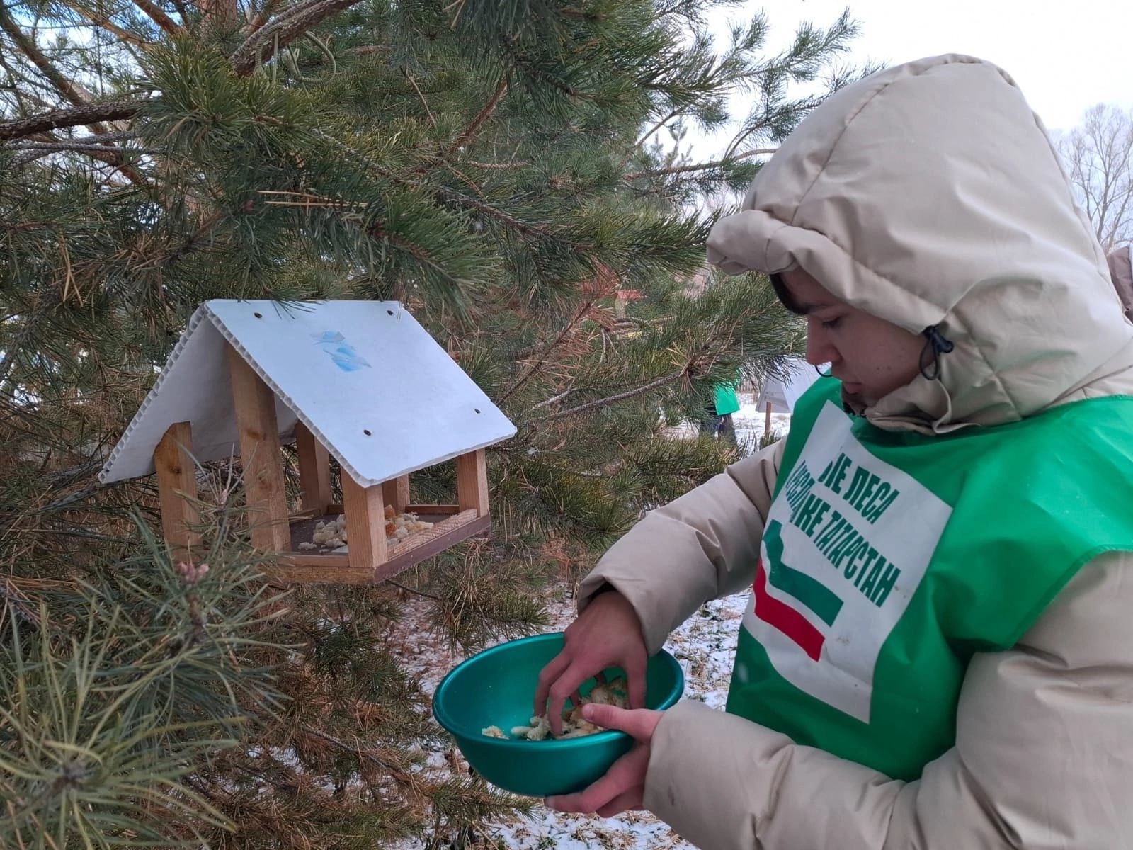 Зима — суровое время в жизни птиц