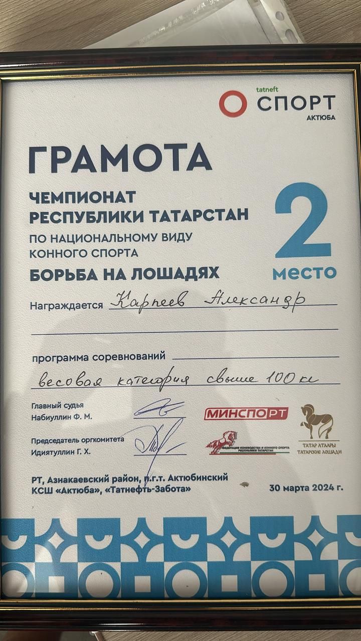 Александр Карпеев завоевал призовое место в чемпионате РТ по конному спорту