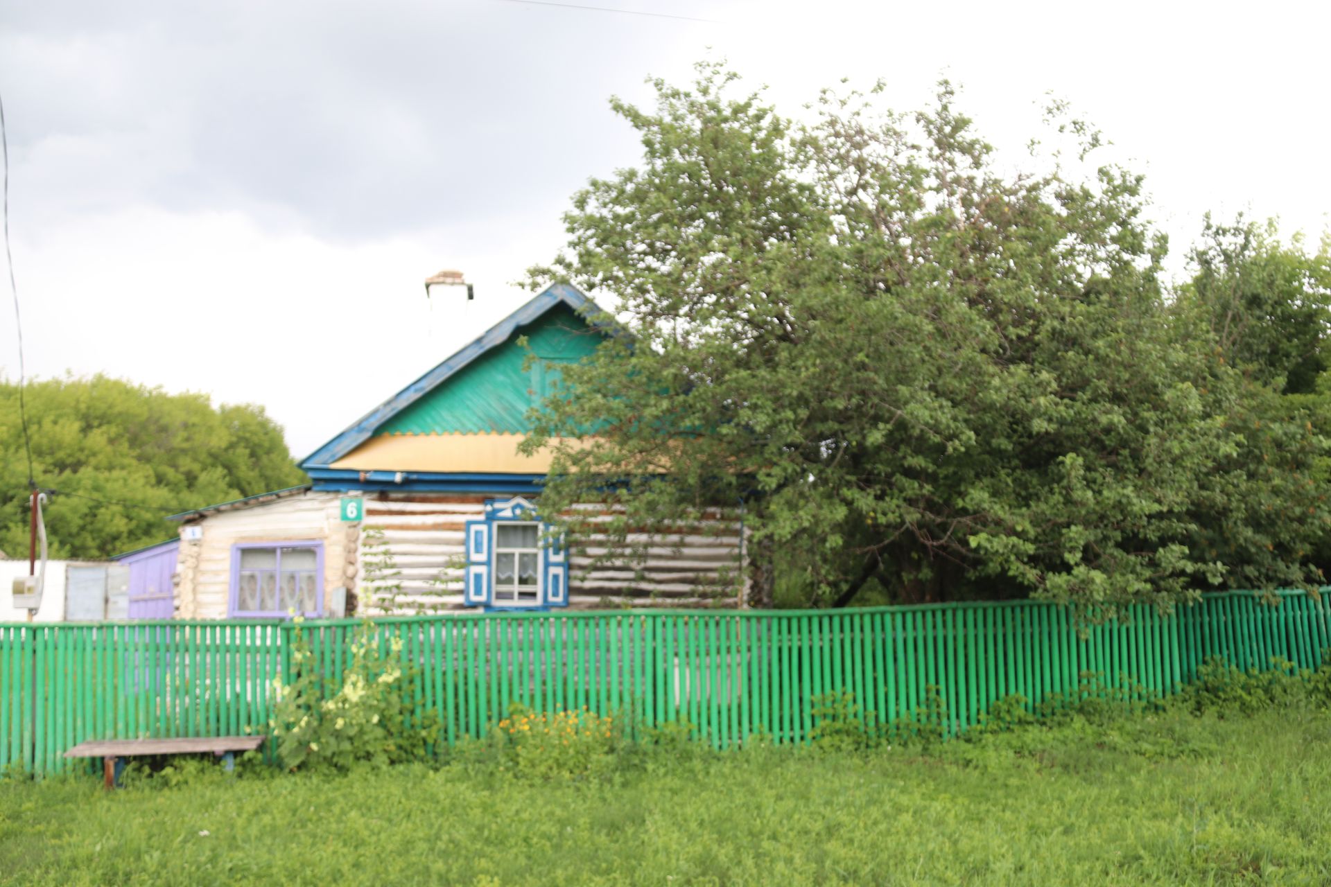 Каркале цепко держится за жизнь