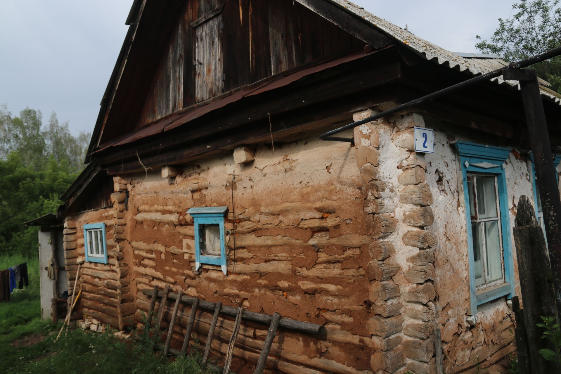 Каркале цепко держится за жизнь