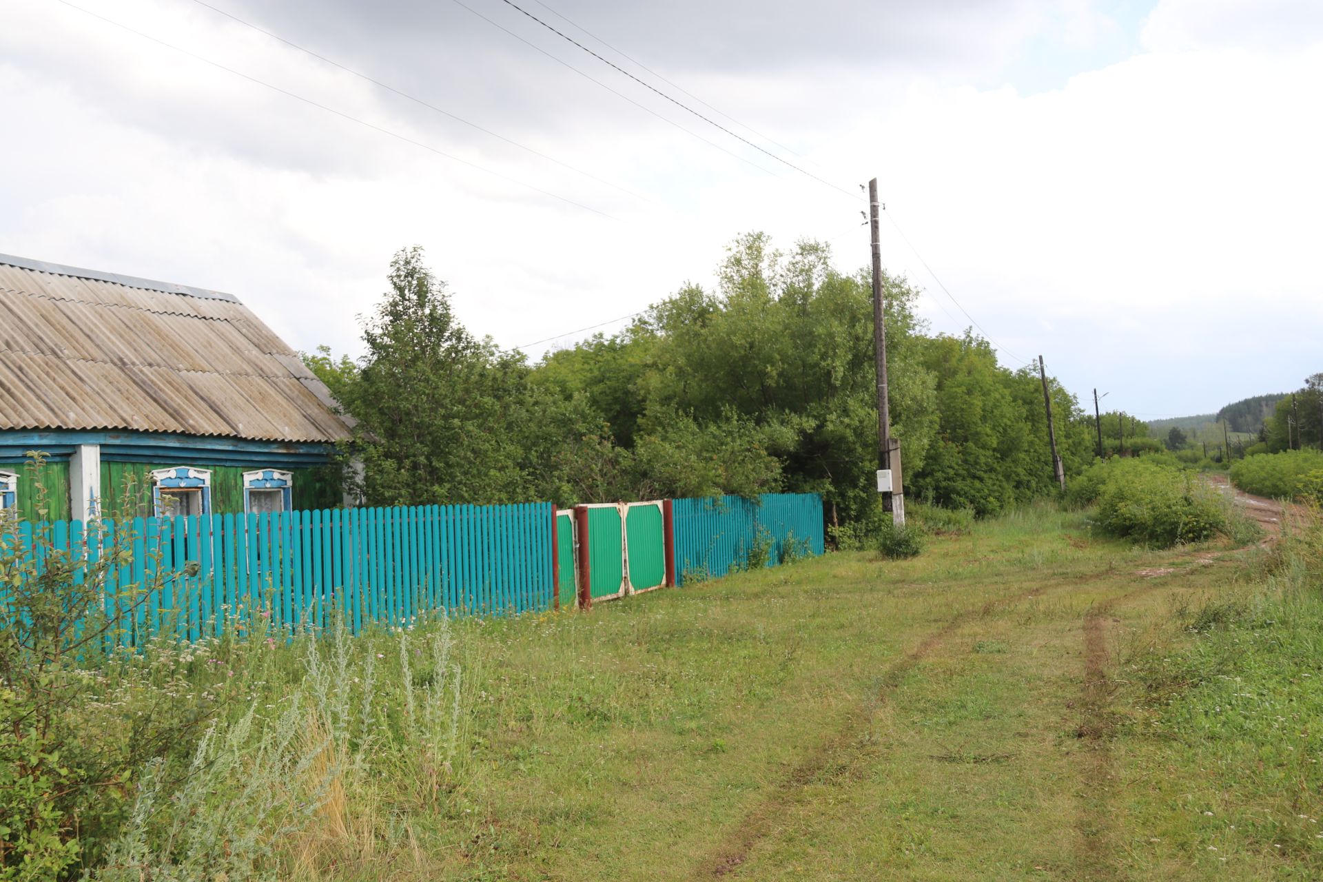 Каркале цепко держится за жизнь