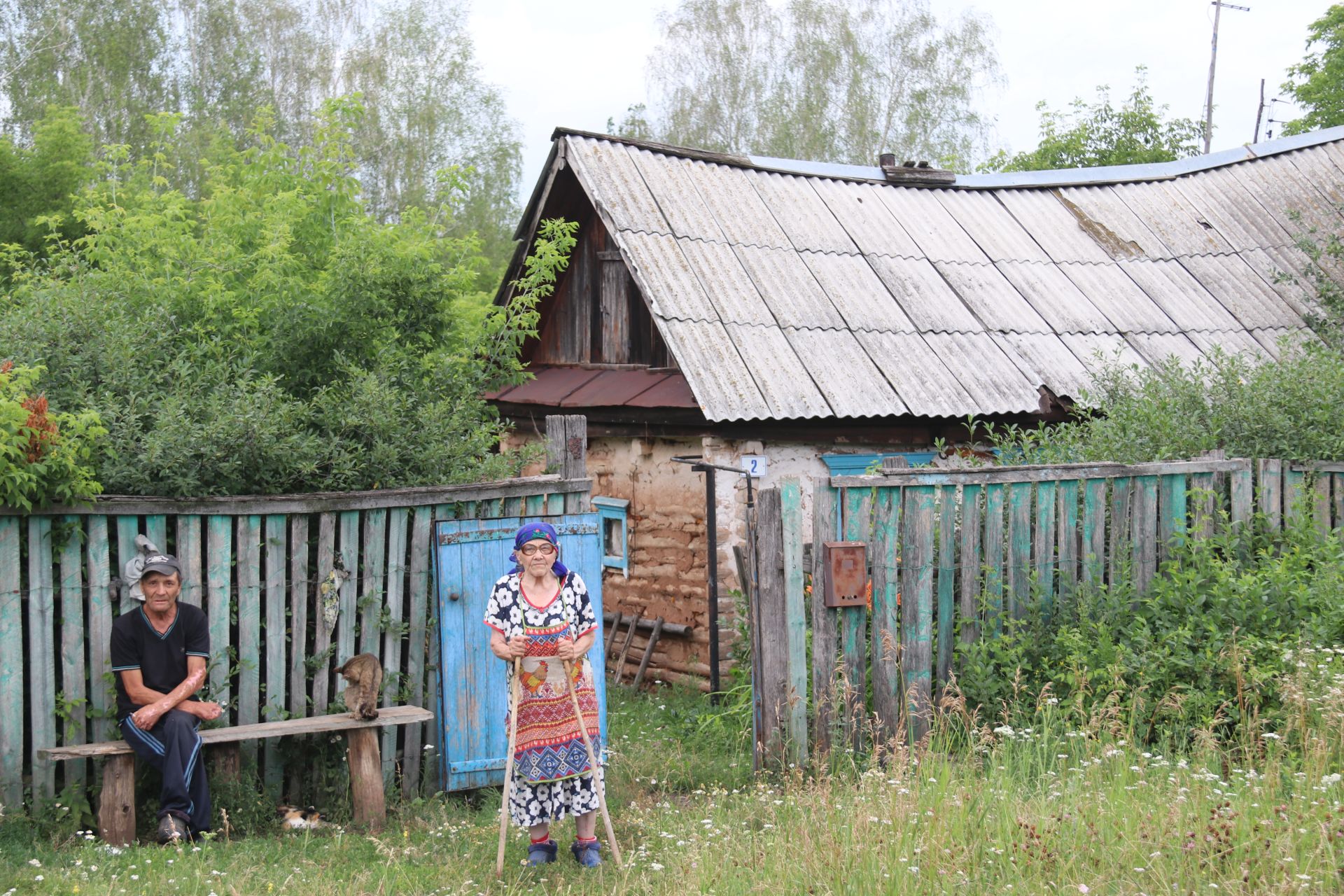 Каркале цепко держится за жизнь