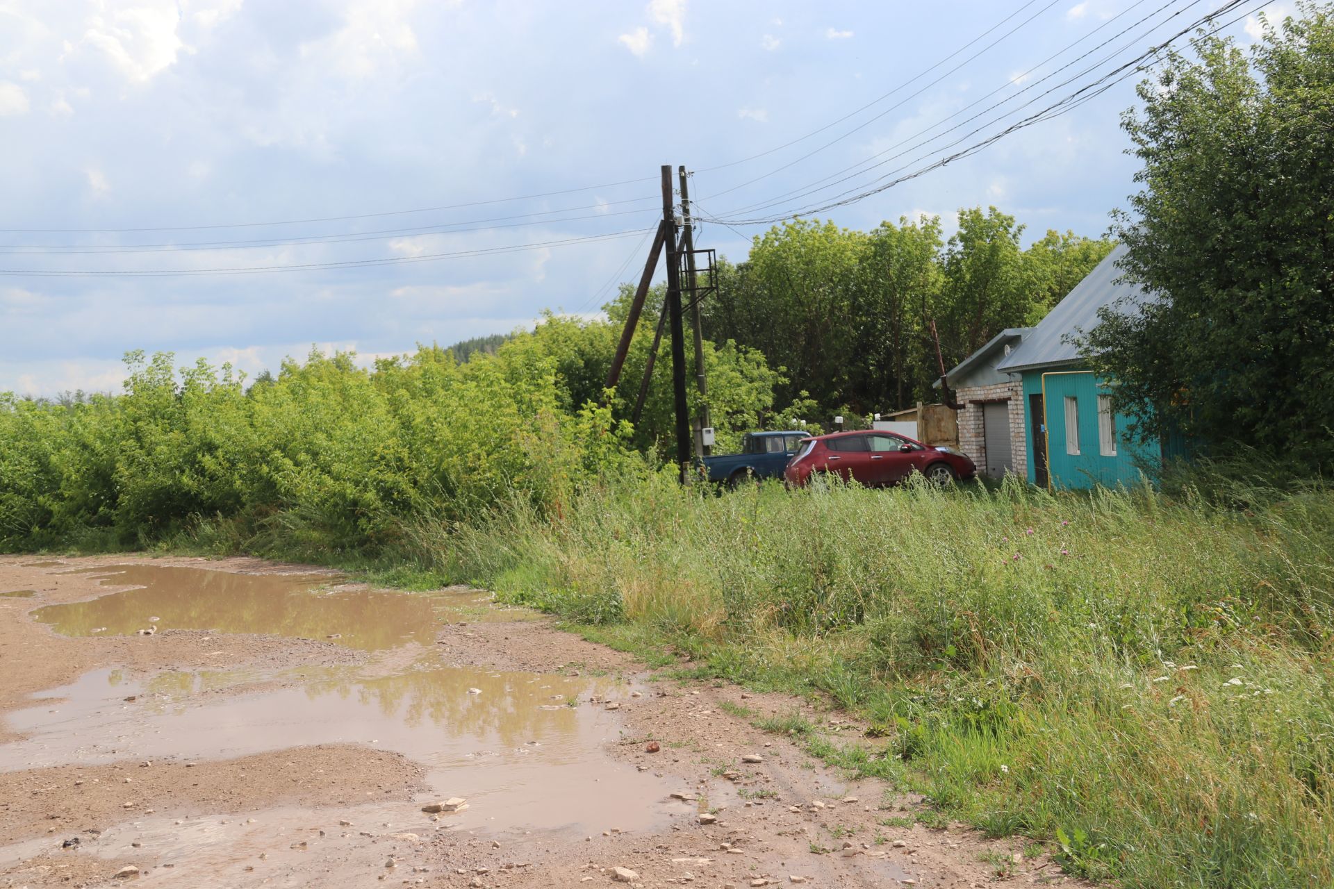 Каркале цепко держится за жизнь