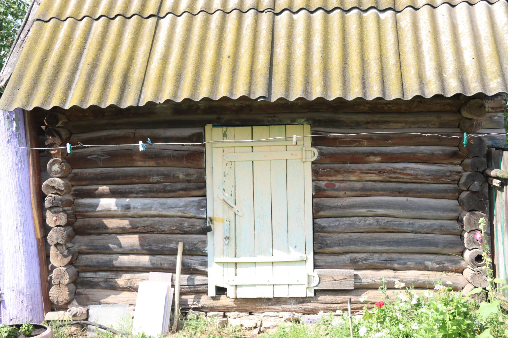 Каркале цепко держится за жизнь