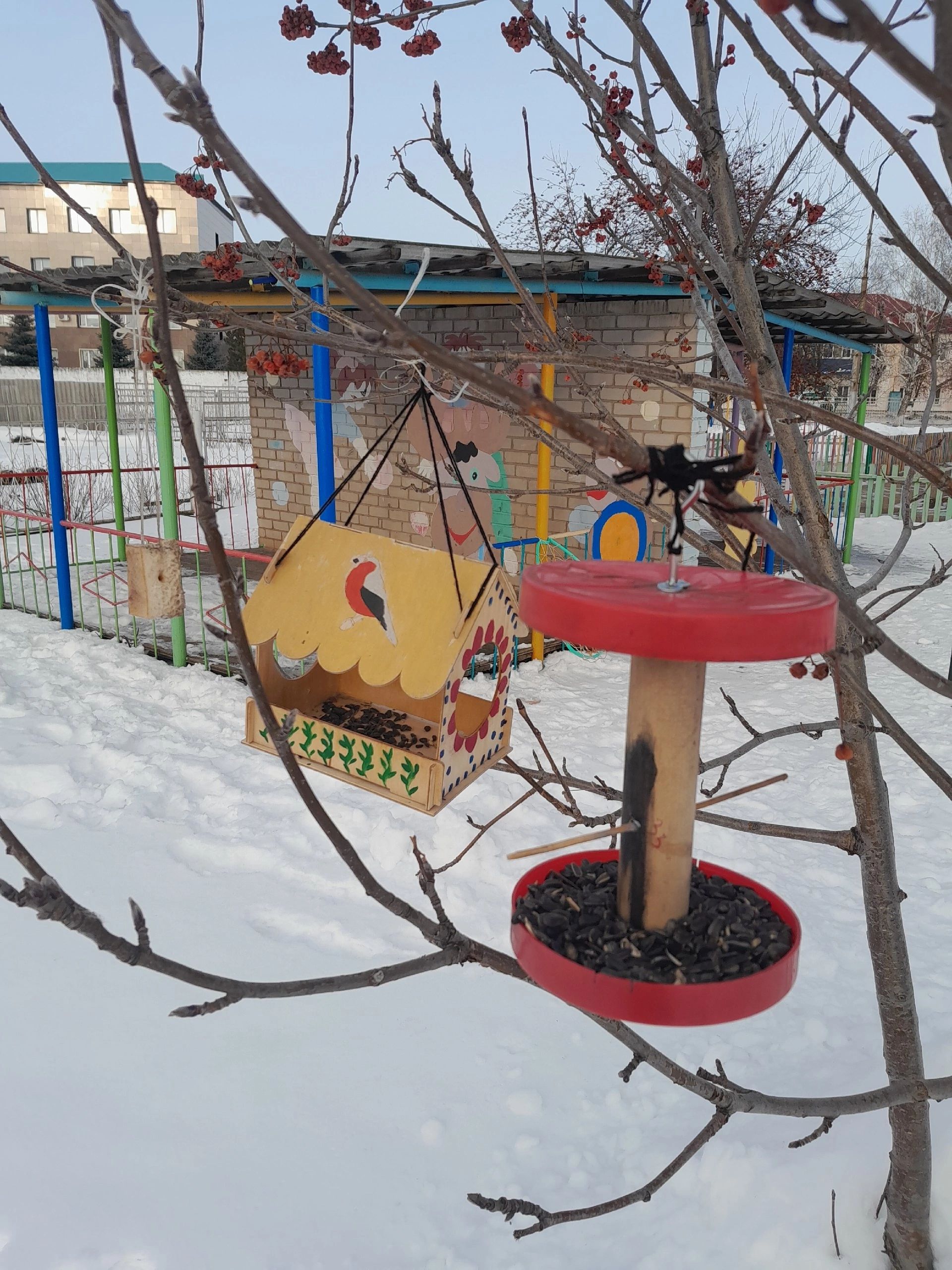 Зимний период - очень трудное время для пернатых
