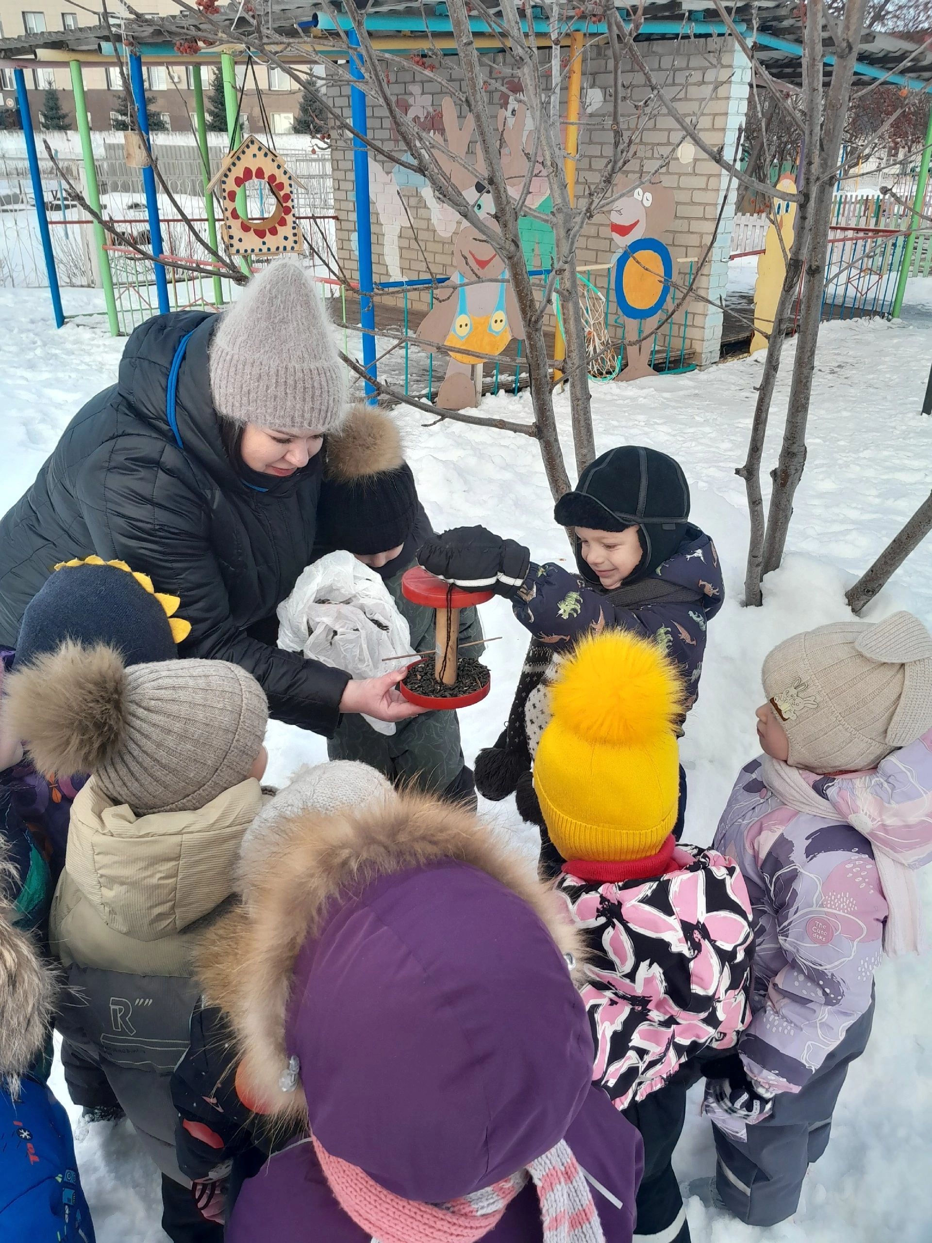 Зимний период - очень трудное время для пернатых