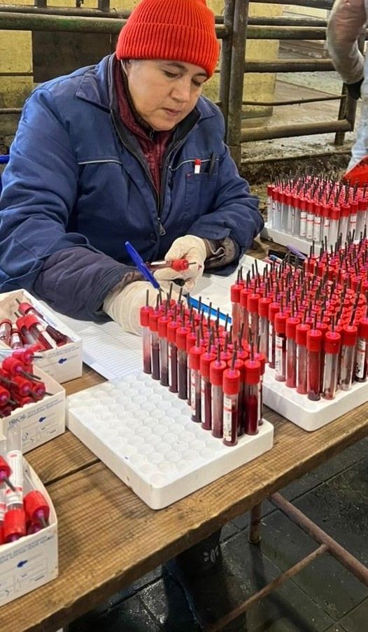 Осенняя вакцинация животных стартовала в Ютазинском районе