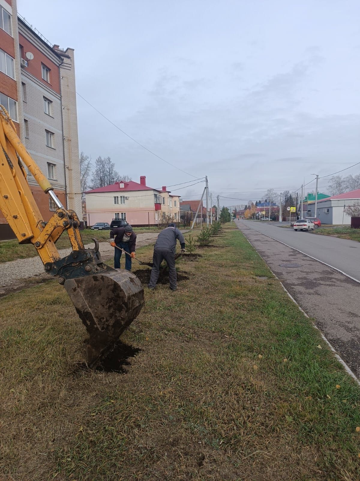 Новые зелёные насаждения: вклад ТСЖ «Восток» в экологию района