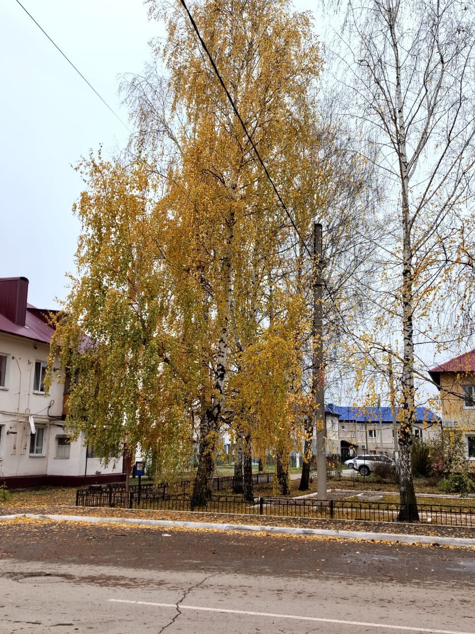 Прогноз погоды на 20 октября