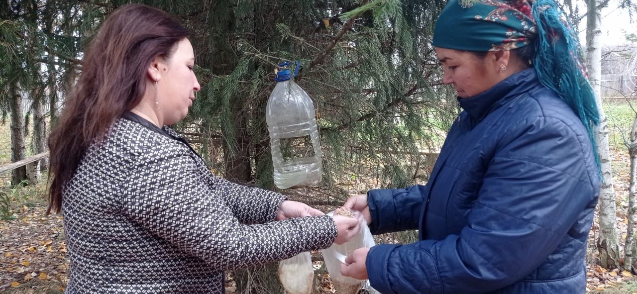 Забота о птицах: акция по установке кормушек в парках