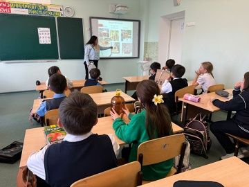 Начало экологической акции «Дом пернатых»