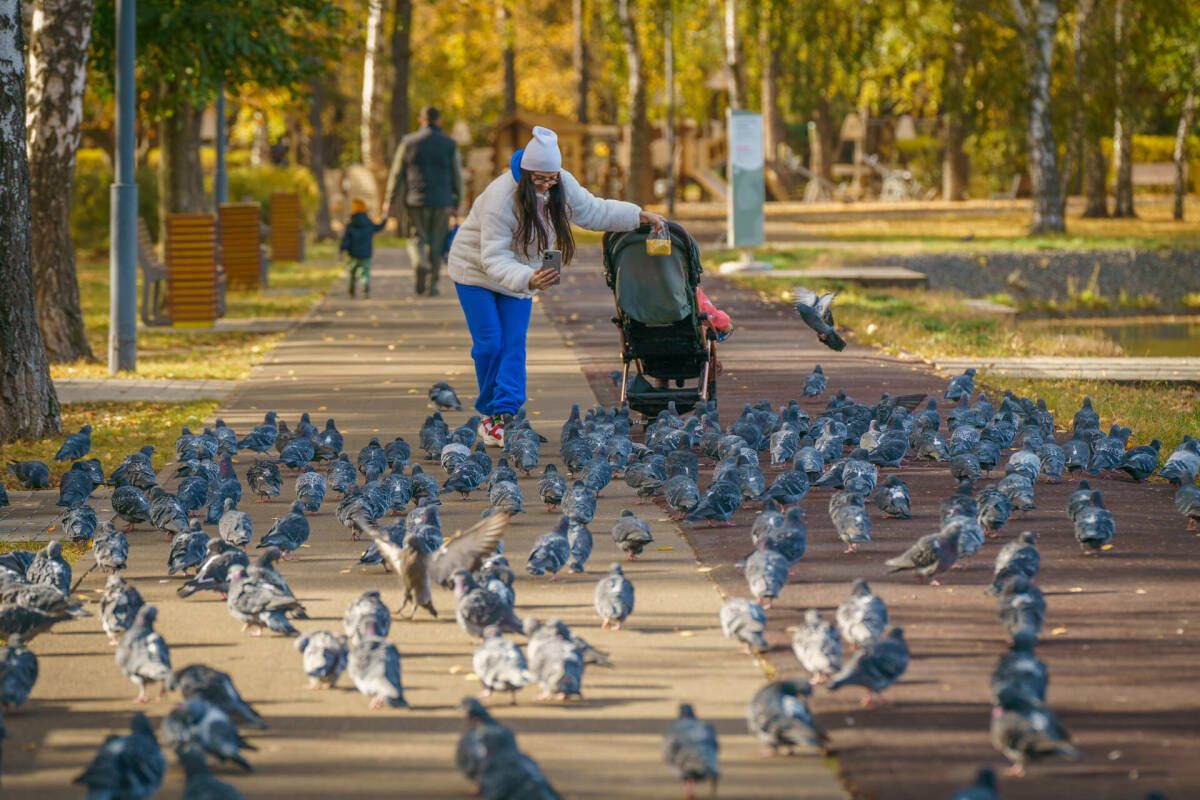 Влияние декрета на пенсию и стаж в Татарстане: что нужно знать