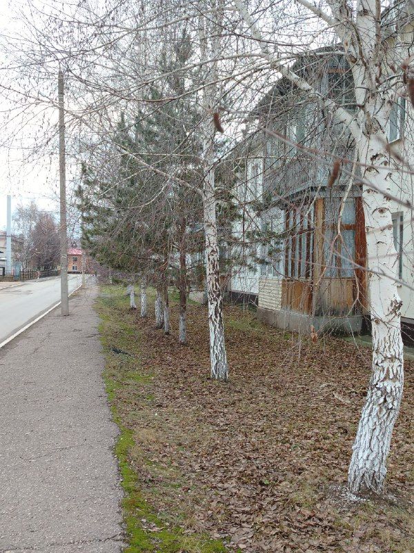 Доброе утро, земляки!