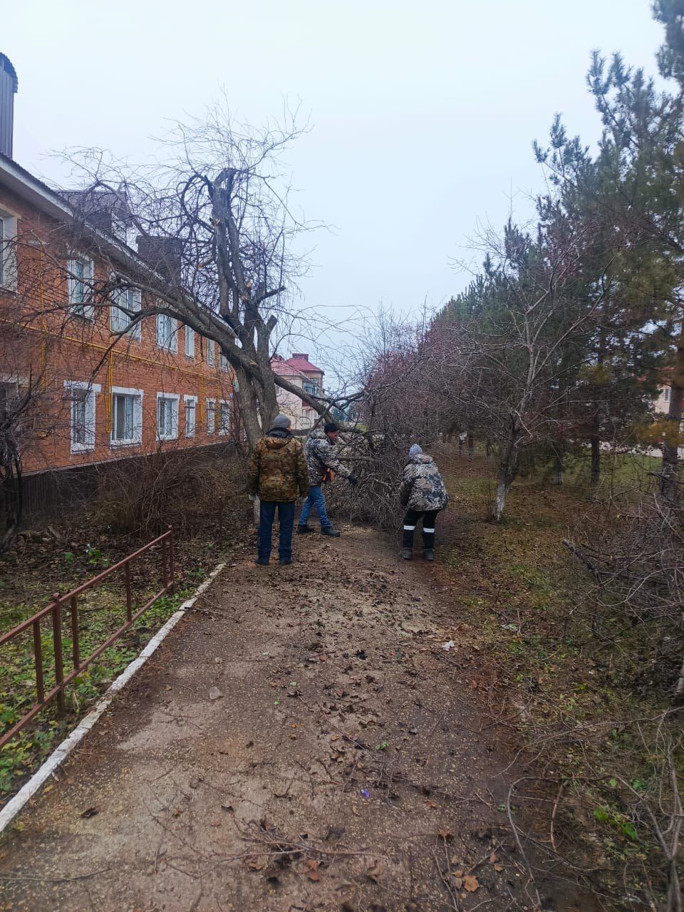 Декабрьский субботник на улице Джалиля