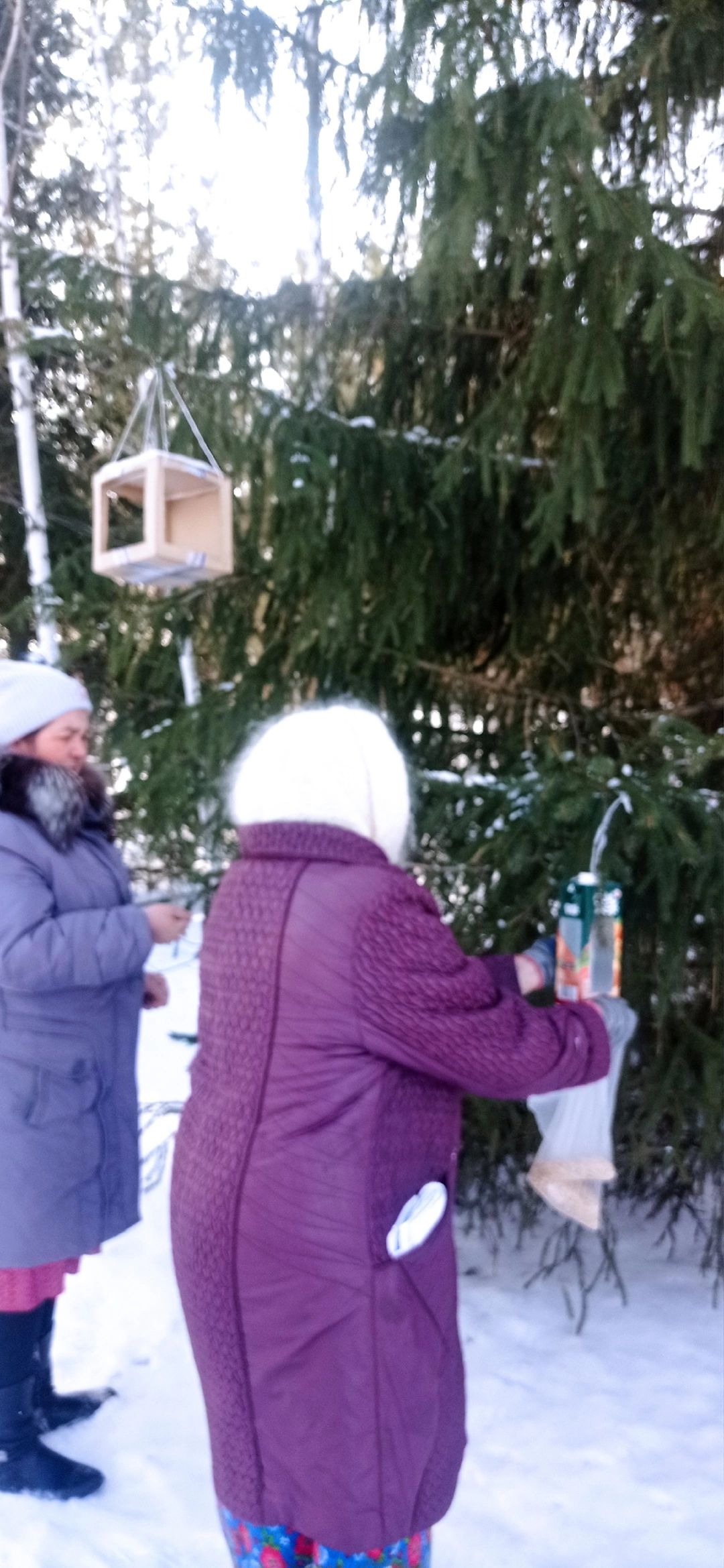 В селе Байряки-Тамак прошла акция «Покормите птиц зимой»