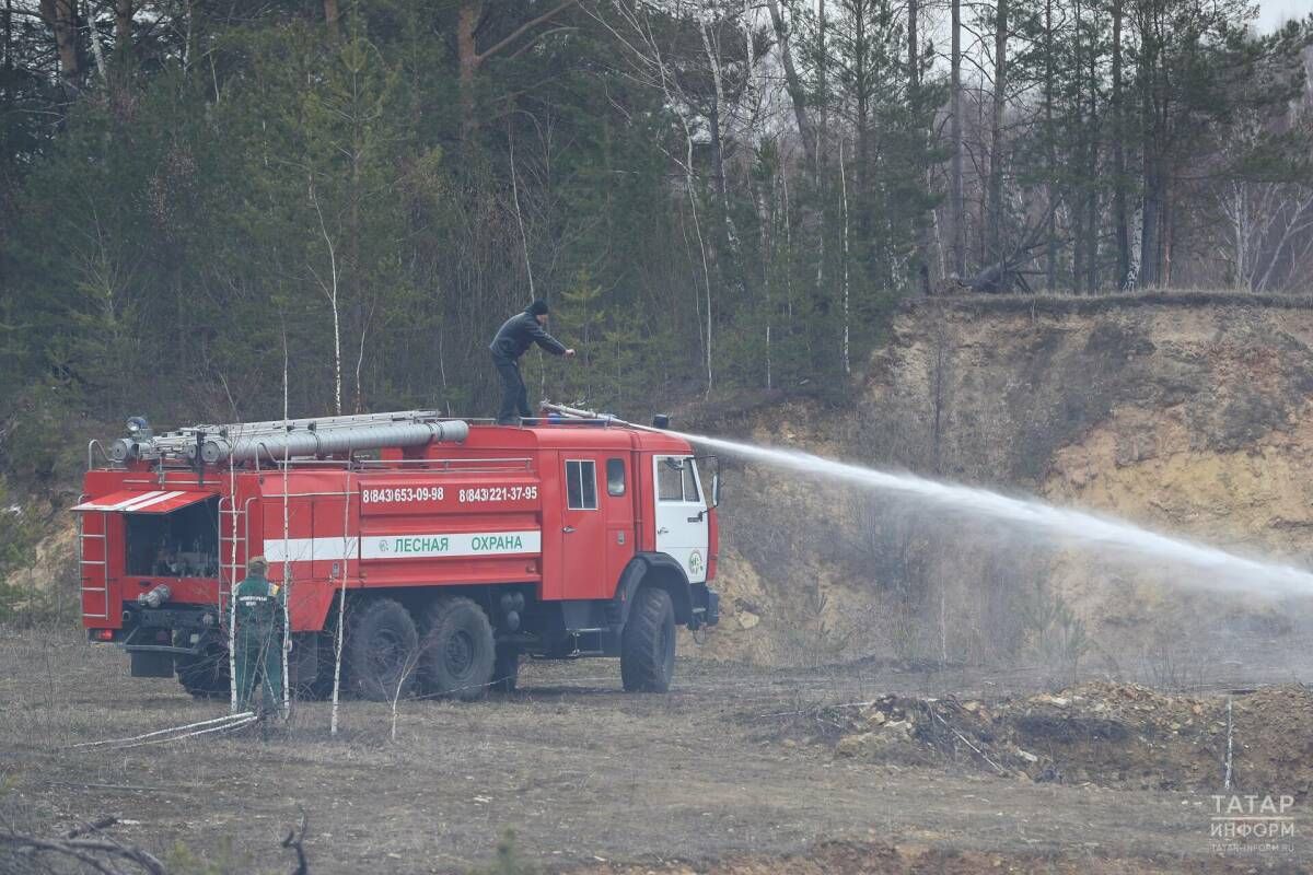 Штормовое предупреждение о лесных пожарах