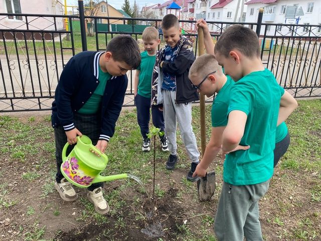 Юные экологи высаживают саженец на школьной земле