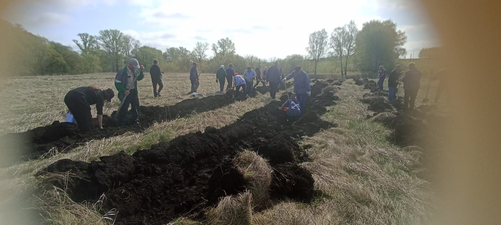 Посадка деревьев в память о героях