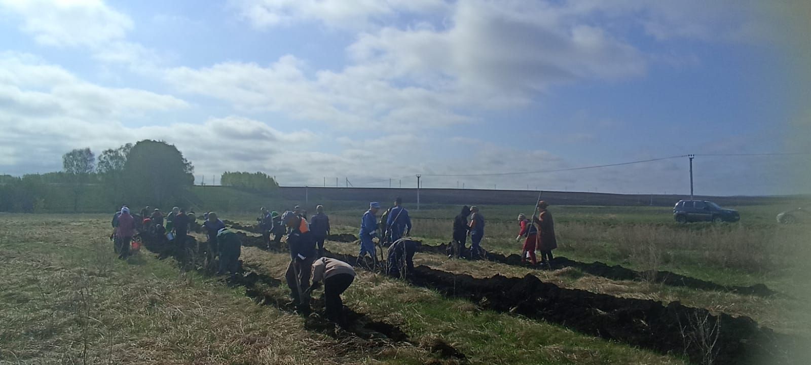 Посадка деревьев в память о героях