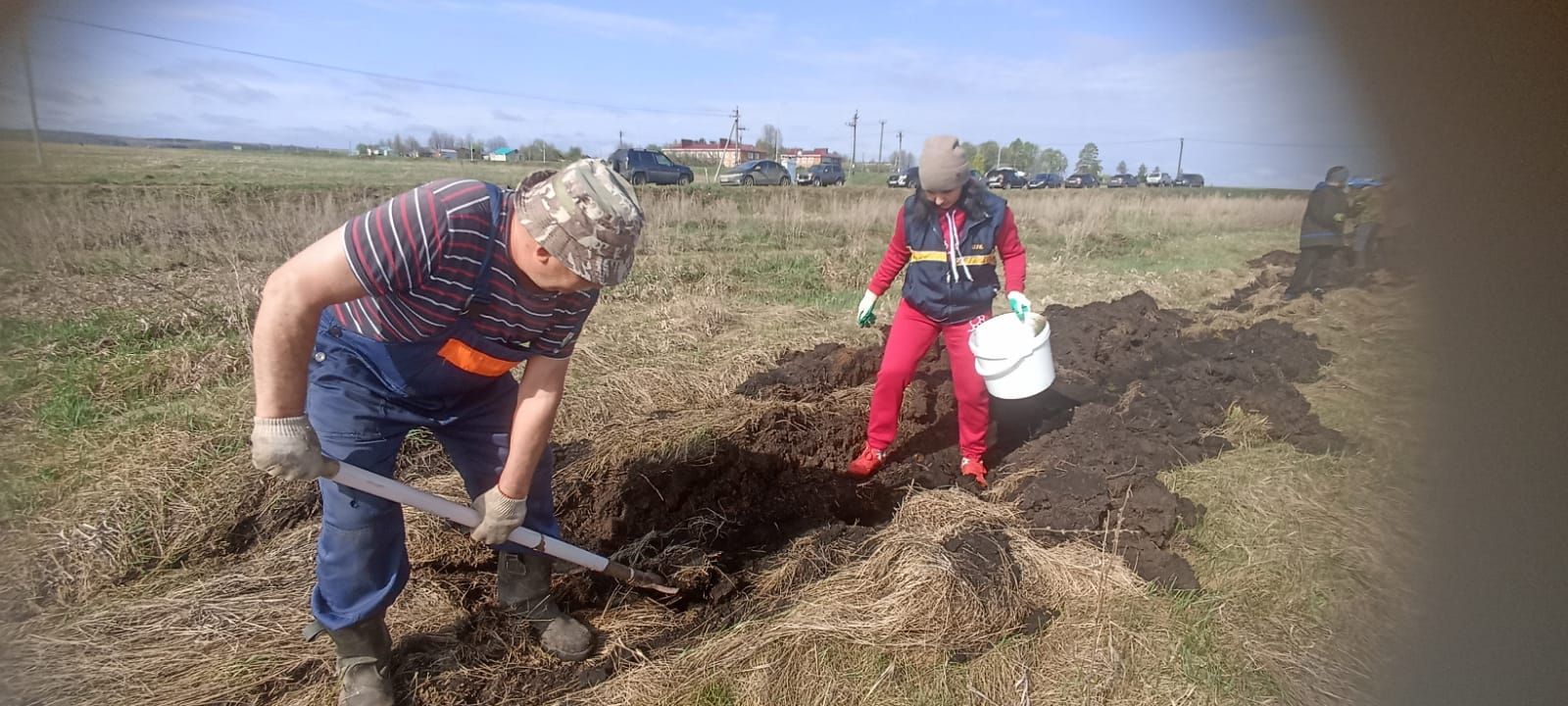 Посадка деревьев в память о героях