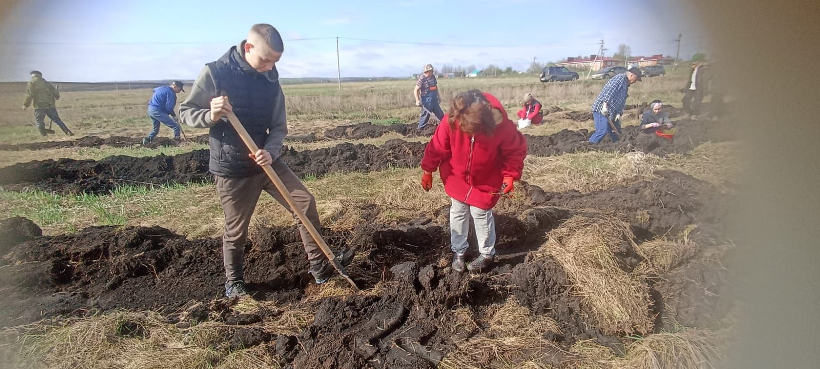 Посадка деревьев в память о героях