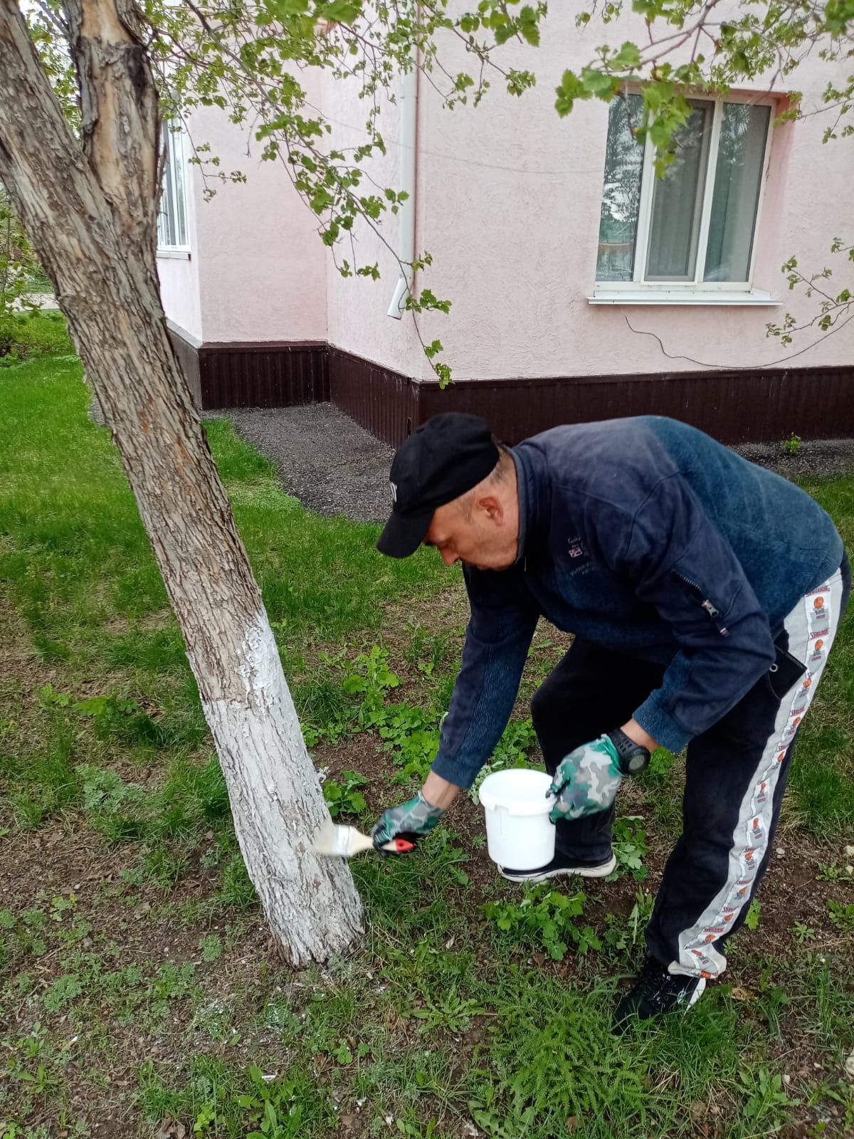 Благоустройство Уруссу: скамейки и деревья в новом обличии