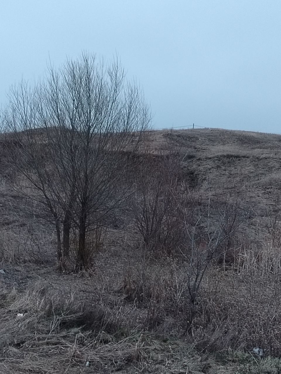 Сладких снов, наши любимые подписчики!