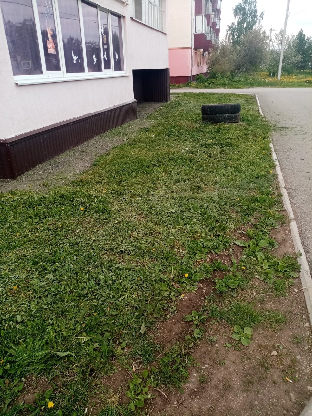 Активные работы по благоустройству: ТОСы приводят территории в порядок