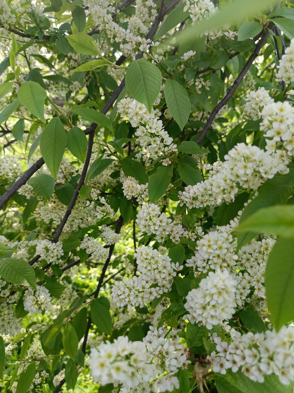 Доброе утро! 🌞