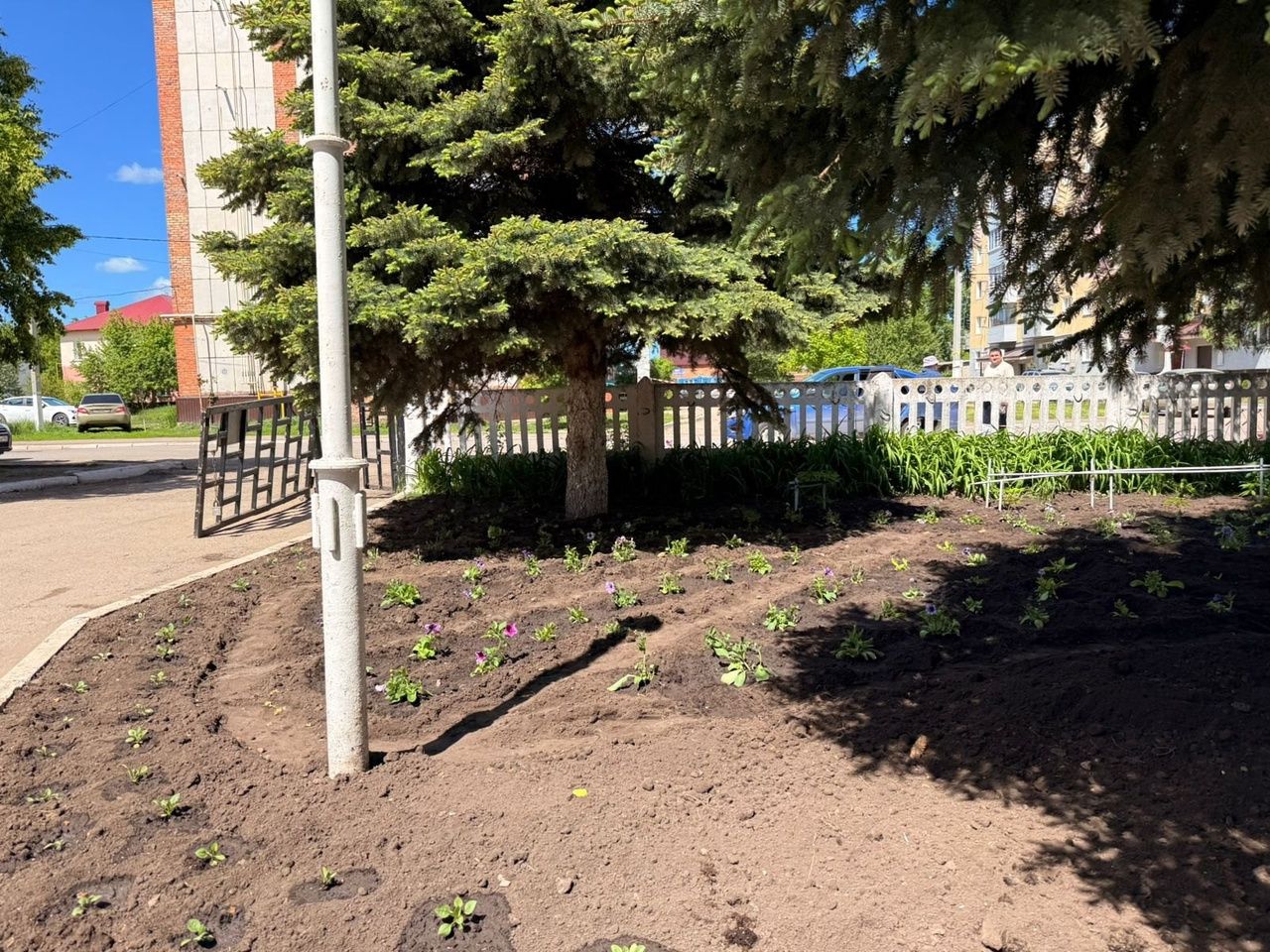 Субботник по благоустройству школы