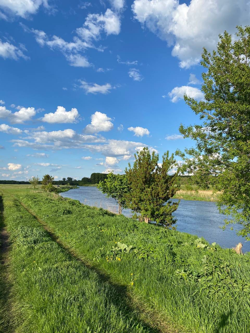 Доброе утро и отличного дня! 🌞