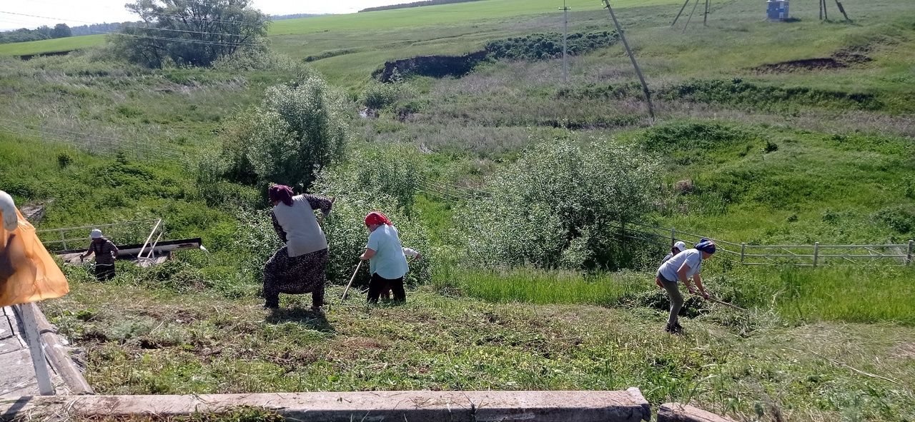 Субботник у родника: вместе для комфорта и чистоты