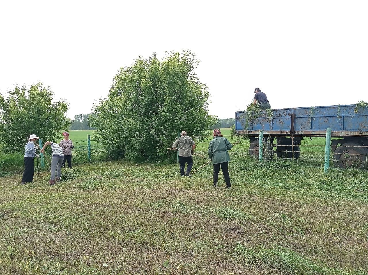 «Вместе — мы сила!» Волонтёрская акция в селе Кряш-Буляк