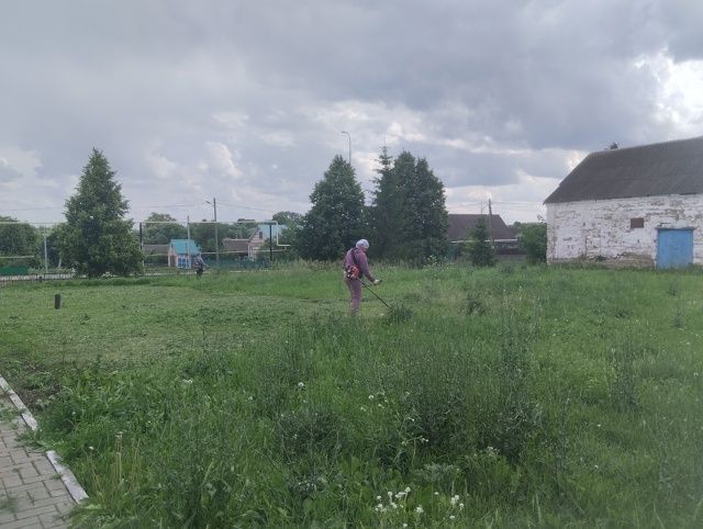 Участие в волонтёрской акции «Чистое село — дело каждого»