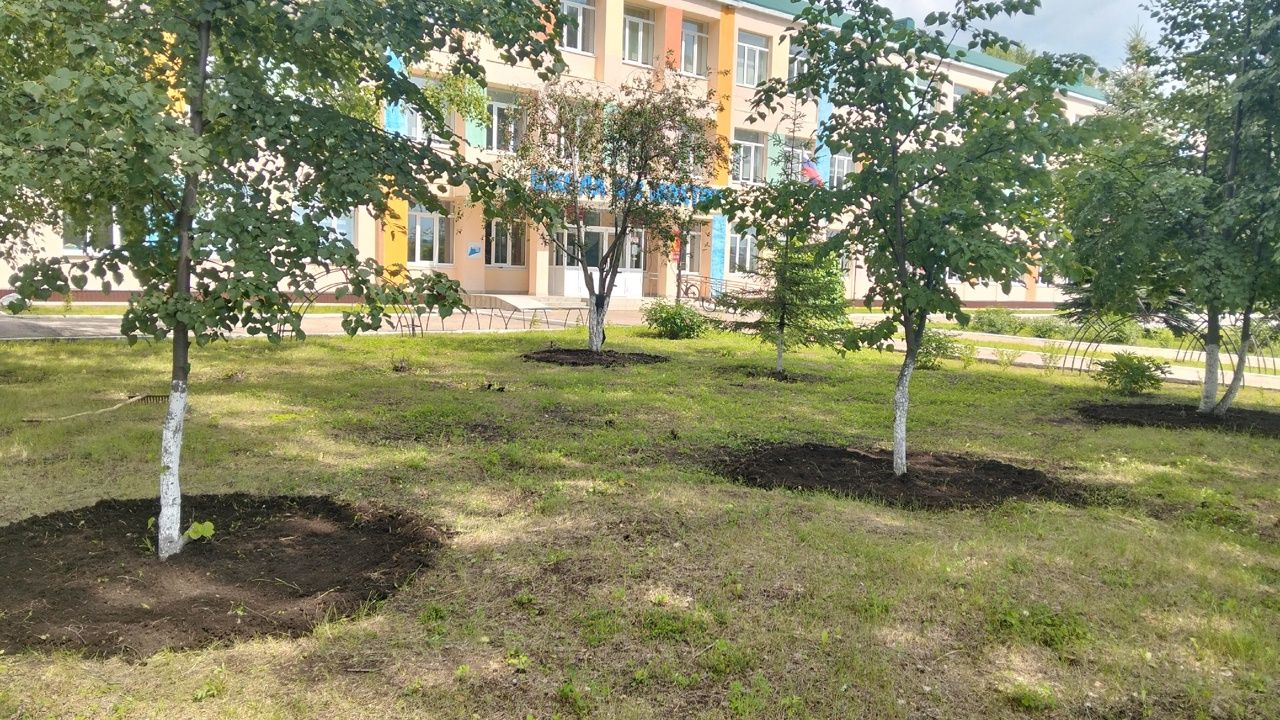 Волонтеры: Работа по душе