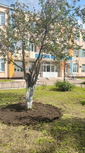Волонтеры: Работа по душе