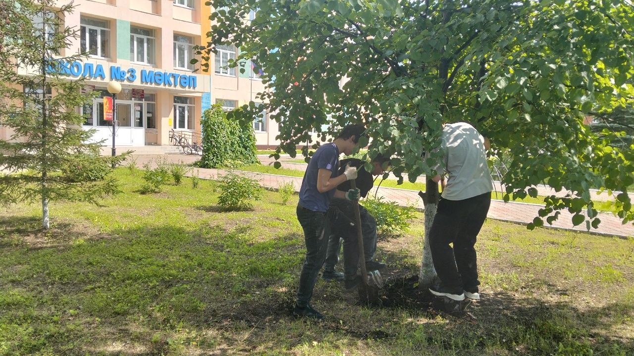 Волонтеры: Работа по душе