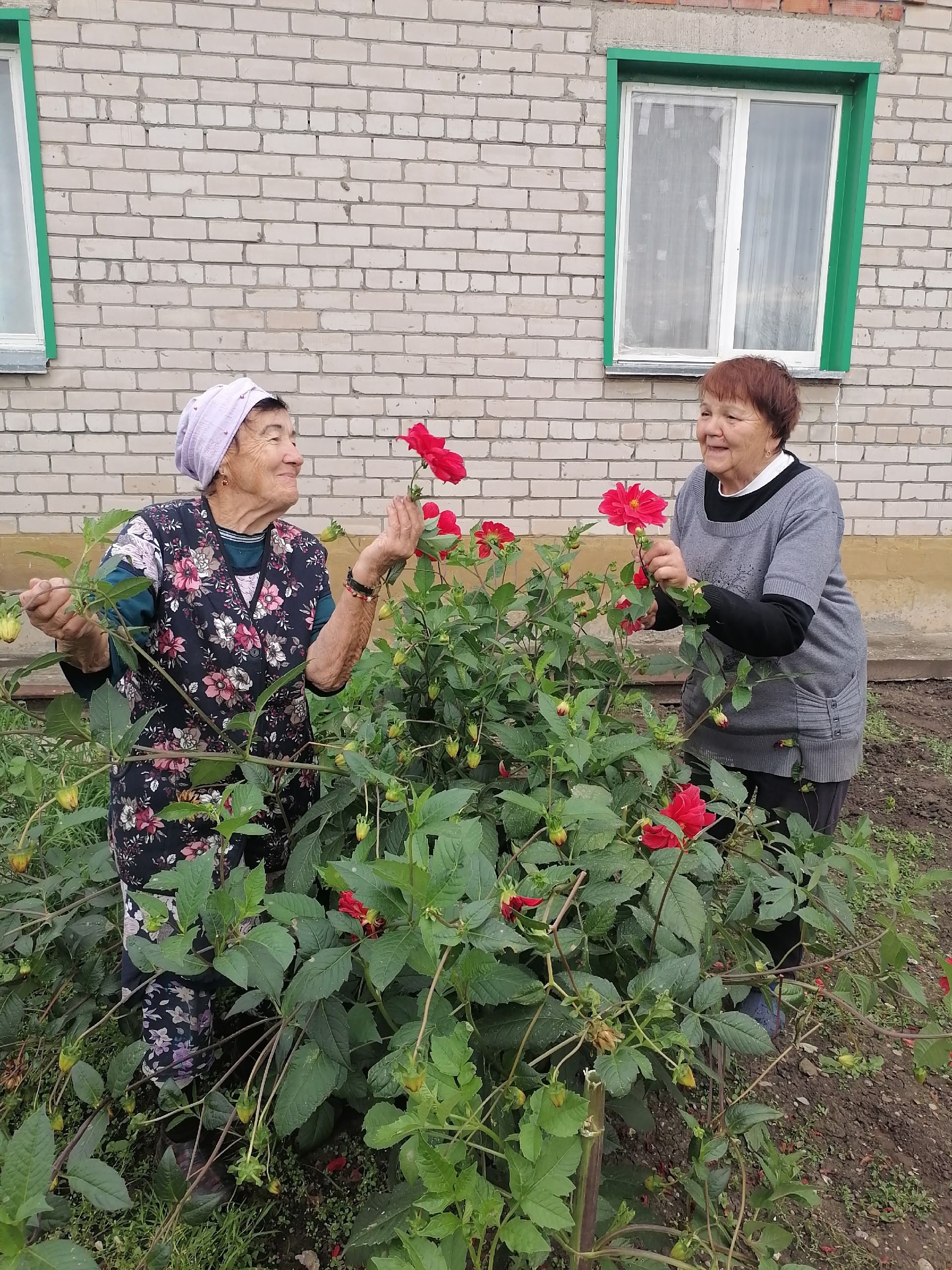 Доброта для души