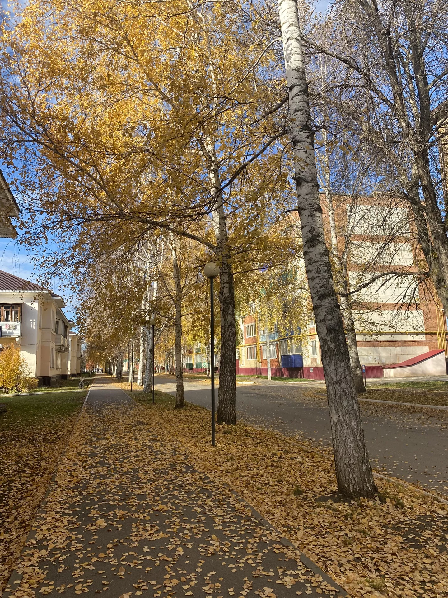 Начинаем день с улыбки